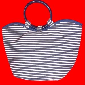 FIT and FRESH insulated lunchbox hand bag